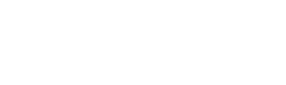 Vivocad Survey